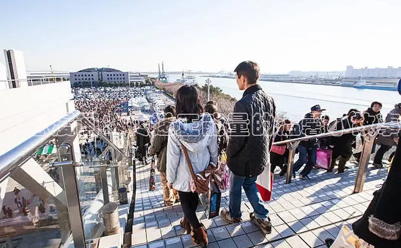 樱花动漫网imomoe官网